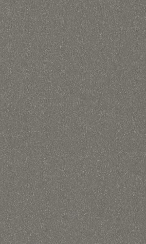 HWF-RAL9007-FME